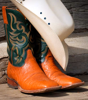 Big Noise Country Artists